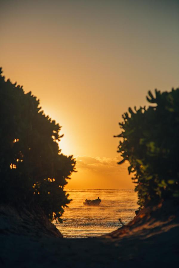 Glamp Ikal Tulum Hotell Exteriör bild